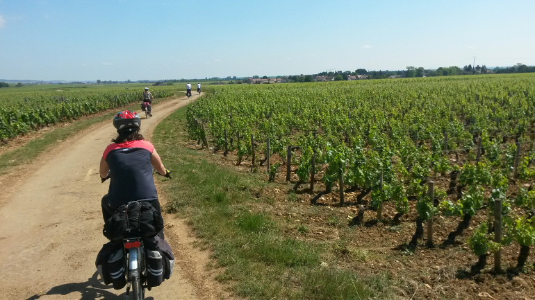 Les vignes à vélo entre amis en Bourgogne
