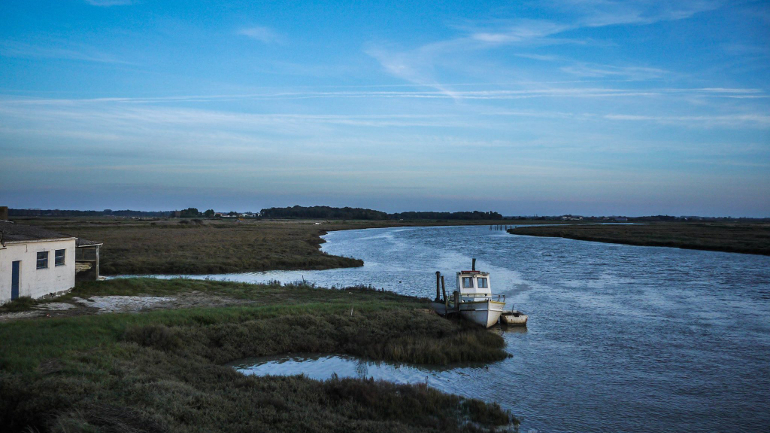 Paysage marécageux avec bateau