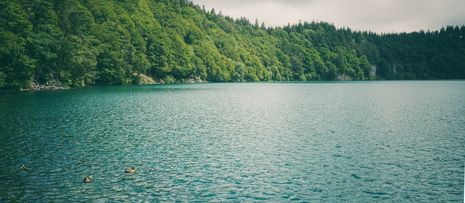 Lac Pavin - Vascomag