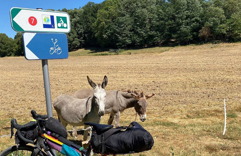 Balisage de La Méditerranée à vélo