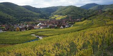 tour de guet alsace