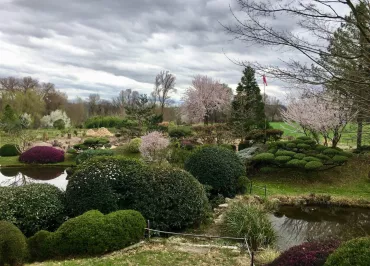 Jardin zen d'Erik Borja