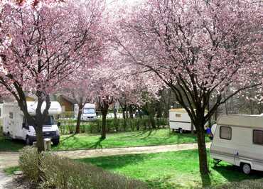 Camping municipal l'Astrée