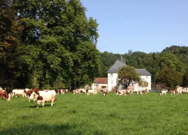 En pleine nature, bordé par les prés et la forêt