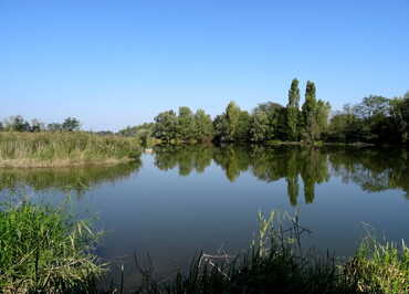 La Gravière aux Oiseaux