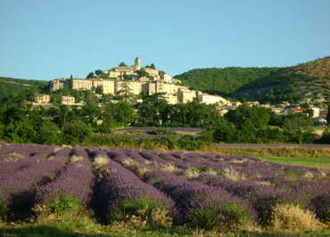 Office de Tourisme Intercommunal Haute-Provence Pays de Banon