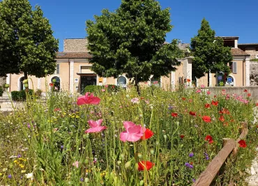 Office de Tourisme du Pays Diois - bureau de Die