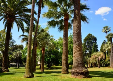 Jardins de la Villa Rothschild