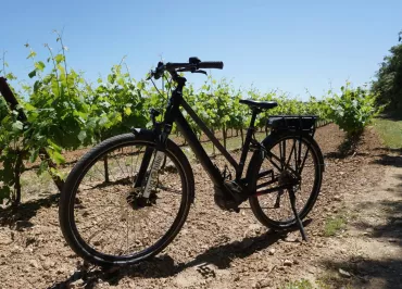 Sun-E-Bike - Magasin de vélo dans le Luberon (Location - Vente - Réparation)