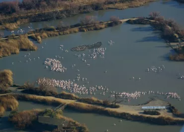 Parc ornithologique de Pont de Gau