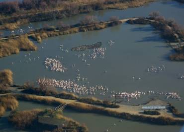 Parc ornithologique de Pont de Gau