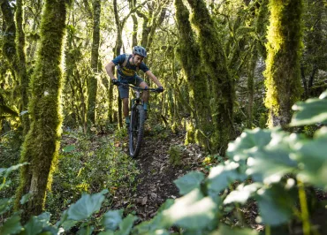 Sorties VTT avec Simon Defour Moniteur -Guide