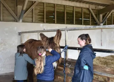 1h pour s'occuper des ânes