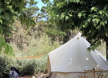 Camping Les Baleines