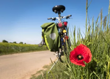 VDS Mobilité - Location de Vélos