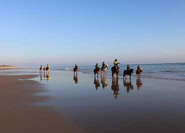 Balade sur la plage