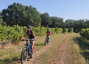 VELŒnologie côte du Rhône à Saint-Martin-d'Ardèche