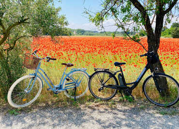 Orange Bike Via Venaissia