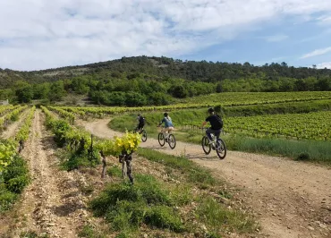 VELOEnologie à Vallon Pont d'Arc