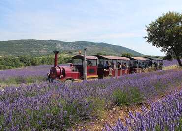 Tour en train