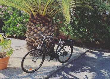 1 Véloc - Location de vélos