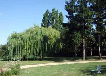 Camping des Ormes