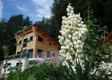 Villa Cora Venez- SPA privatif - Etat Neuf- Vosges du Sud