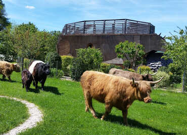 Vache Ecolodge