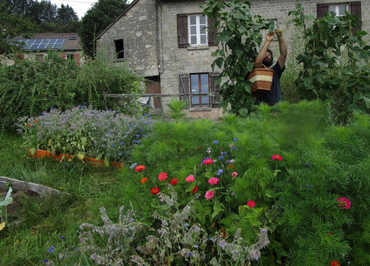 Le gîte et la main verte
