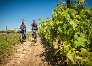 RÊVE DE VÉLO Tours