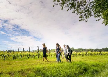 Domaine Nicolas Paget
