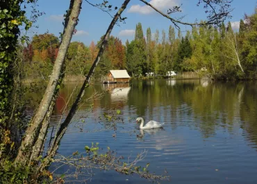Camping Sunelia l'Etang de Sologne