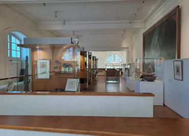 Maison des Musées