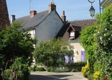 Chédigny village jardin "Jardin Remarquable" et fleur d'or