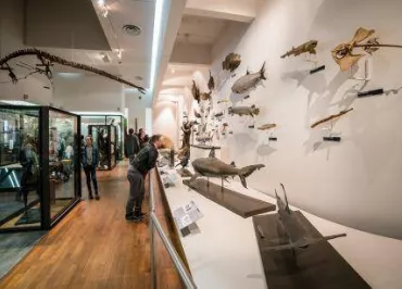 Muséum-Aquarium de Nancy
