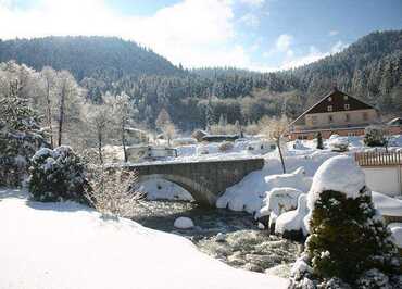 DOMAINE DU HAUT DES BLUCHES