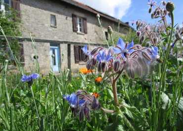 Gîte d'Etape 'Le Gîte et La Main Verte' à Saint Goussaud