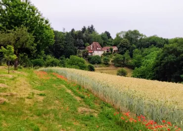 La Fontaine du Mas - Chambres d'hôtes