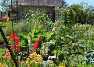 Chateauret Chambres d'hôtes et Gîte