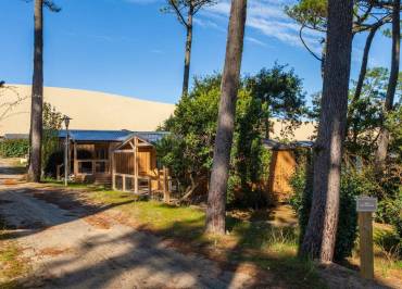 Camping de la Dune