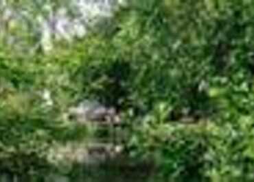 Aires en Scènes : La Bulle au bord de l’eau