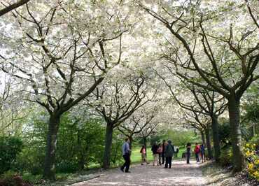 Jardins de Valloires