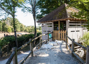 Espace Faune de la Forêt d’Orient