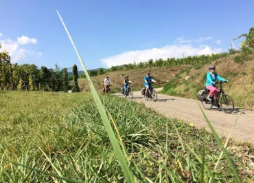 Alsa Cyclo Tours - L'Alsace, grandeur nature