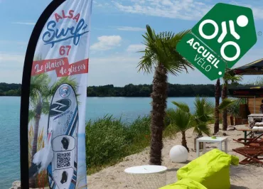 Alsa Surf