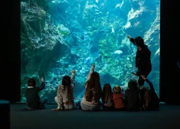 Aymeric Picot_Cité de la Mer_Génération Océan-00371-modifié