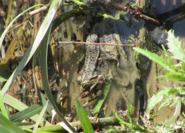 ©Anjou Sport Nature