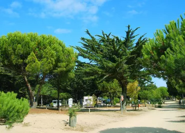 camping municipal l'orgatte notre dame de monts vendee