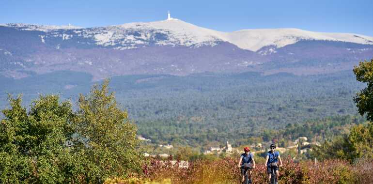 cycling tours mont ventoux