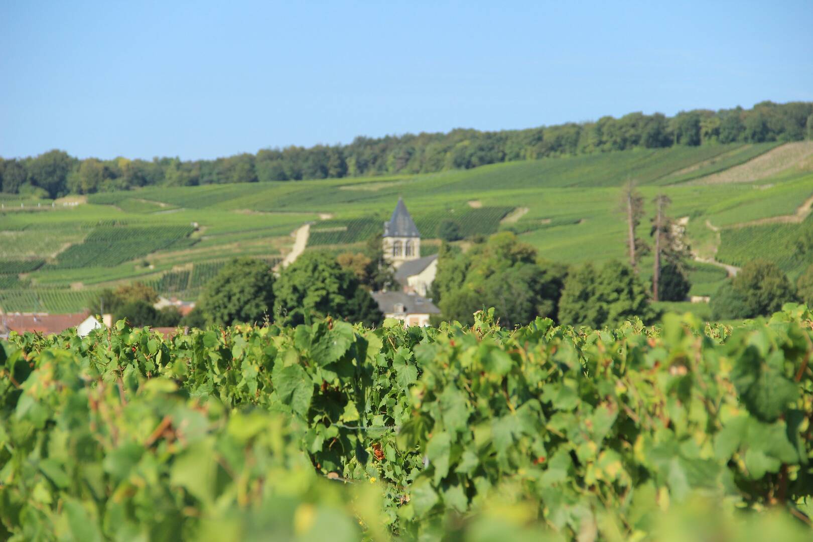 Velo en champagne deals